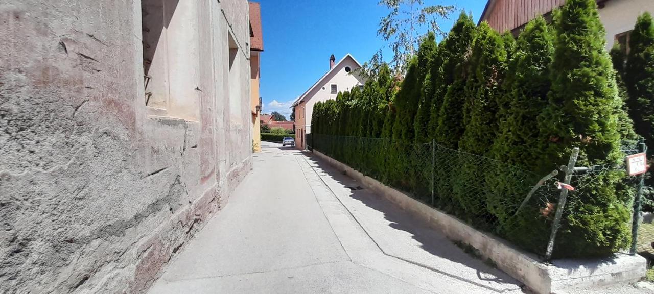 Apartment Slovan Škofja Loka Zewnętrze zdjęcie